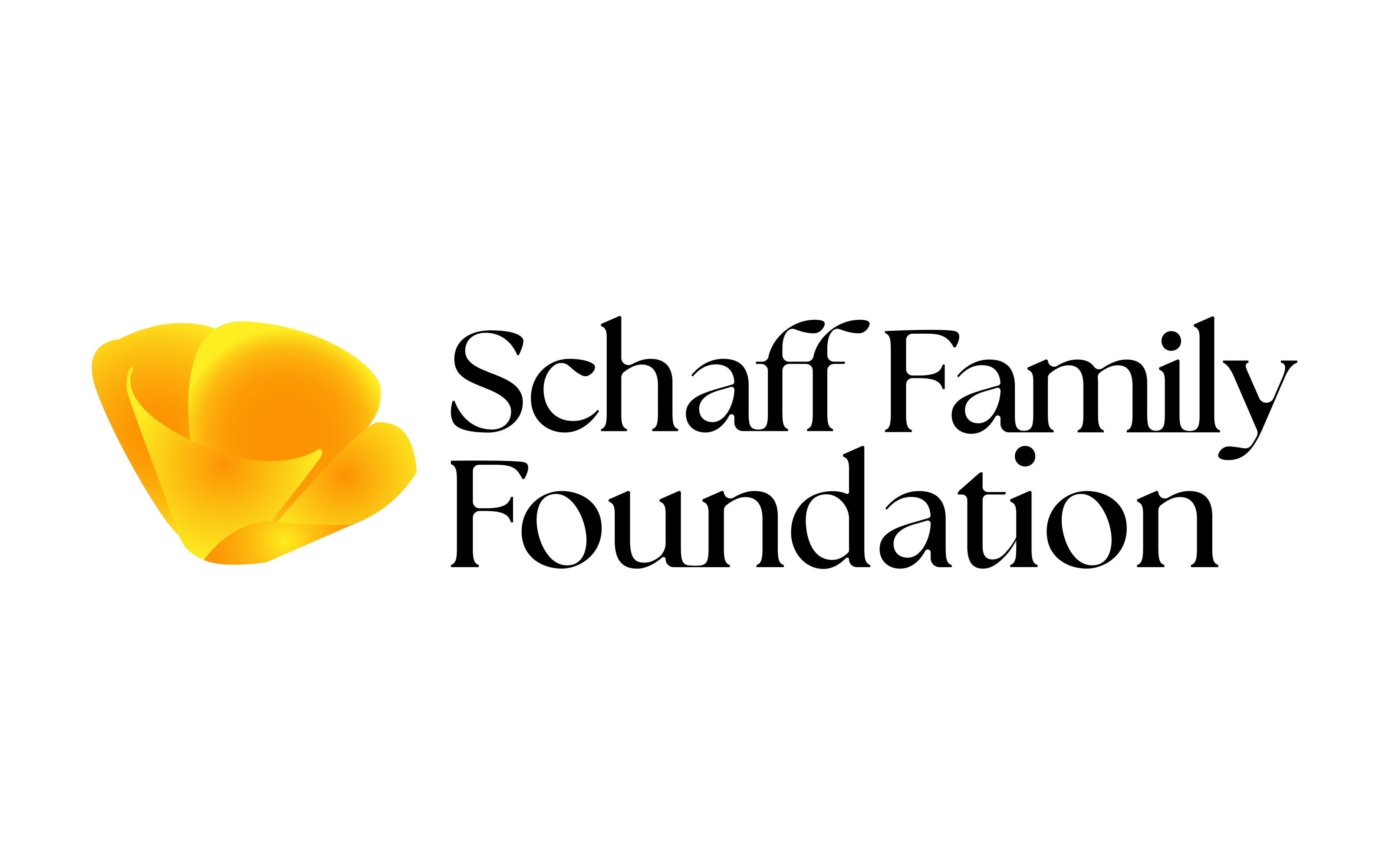 The Schaff Foundation logo